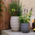 Bordo Balloon - Clay