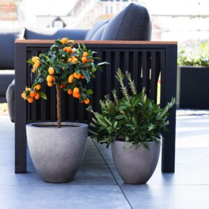 Grigio Egg Pot - Natural Concrete (4)