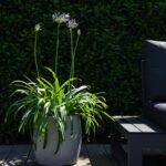 Grigio Modern Pot - Natural Concrete