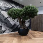 Grigio New Egg Pot Low - Anthracite