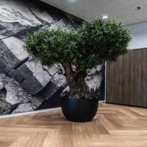 Grigio New Egg Pot Low - Anthracite