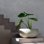 Terreno Low Balloon - Clay